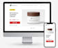 copy clone duplicate redesign or revamp shopify store design