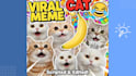 create viral cat meme videos