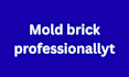 mold brick professionally for you