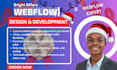 build webflow website webflow web development webflow expert webflow SEO design