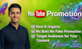 do professional video promotion in USA
