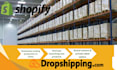 handle fulfillment, inspection and global shipping from china
