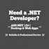 develop professional csharp asp net core web and desktop applications
