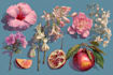 illustrate gorgeous botanical plants illustration