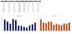 clean, format, and organize excel data for business reports