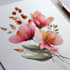 illustrate best botanical illustration