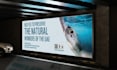 design creative trade show booth, backdrops, banner