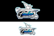 make auto detailing auto mobile and car wash logo design