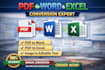 do PDF to word, PDF to excel and image to text conversion professionally