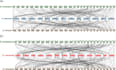 provide complete bioinformatics, gene expression, and data analysis solution