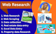 data entry expert and web research