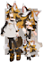 do character references sheet, oc reference ,fully body character sheet, anime,