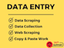 provide fast and reliable data entry service