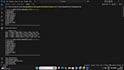 do python coding and scripting professionally