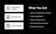 manually test your web app and find critical bugs