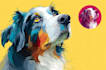 draw pop art dog cat pet potrait