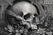 create dark art gothic illustrations in engraving style