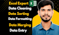 convert PDF, CSV, txt data into the excel