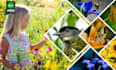 create amazing photo collage within 24 hours