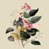 paint water colour botanical illustrations