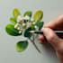 draw a botanical illustration