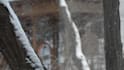 video color grading and color correction
