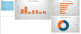 pivot tables, charts, advanced formulas