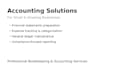 provide professional bookkeeping and accounting services