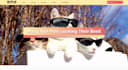 build professional responsive website template for services