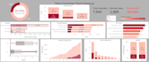 create professional tableau dashboards and data visualizations