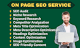 do SEO audit of your website