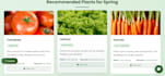 design interactive seasonal plant guide website