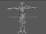 create detailed 3d character models in zbrush and blender
