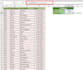 make google and excel spreadsheets fast and accurately
