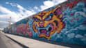 design graffiti designs, murals and wall arts