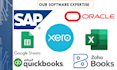 be your pro bookkeeper, financial analyst, accountant ksa to worldwide