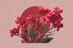 make botanical illustrations of flowers, plants