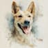 design custom pet portrait