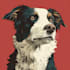 custom pet portrait, dog portrait, cat portrait drawing