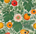 draw botanical illustration art for you
