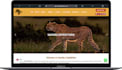 create a modern, responsive wordpress site for your business