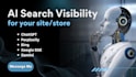 optimize online store or site for google ai search engine ranking