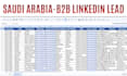 provide verified b2b linkedin lead generation for any industry
