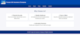 making a website using HTML, CSS, and javascript