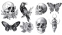 design professional tattoo and custom tattoo