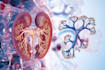design scientific, medical, educational illustration