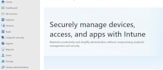provide microsoft 365 remote support and consultancy