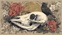 draw vintage handdrawn style skull animal illustration