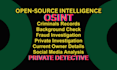 professional private investigation and background check using osint