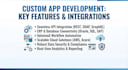 do custom application development